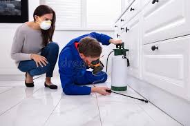 Reliable Leisure Village East, NJ Pest Control Solutions